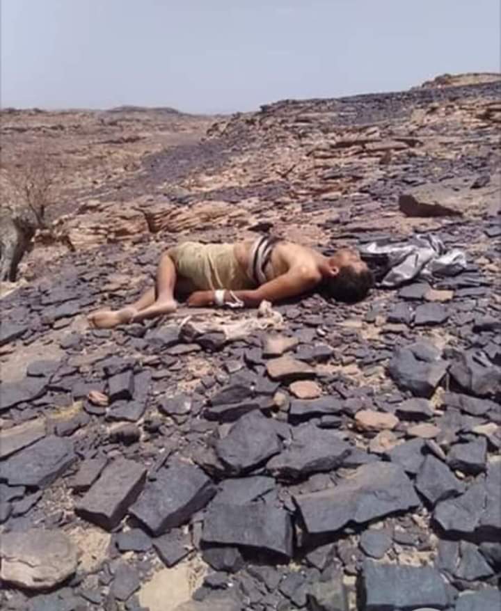 أرشيفية