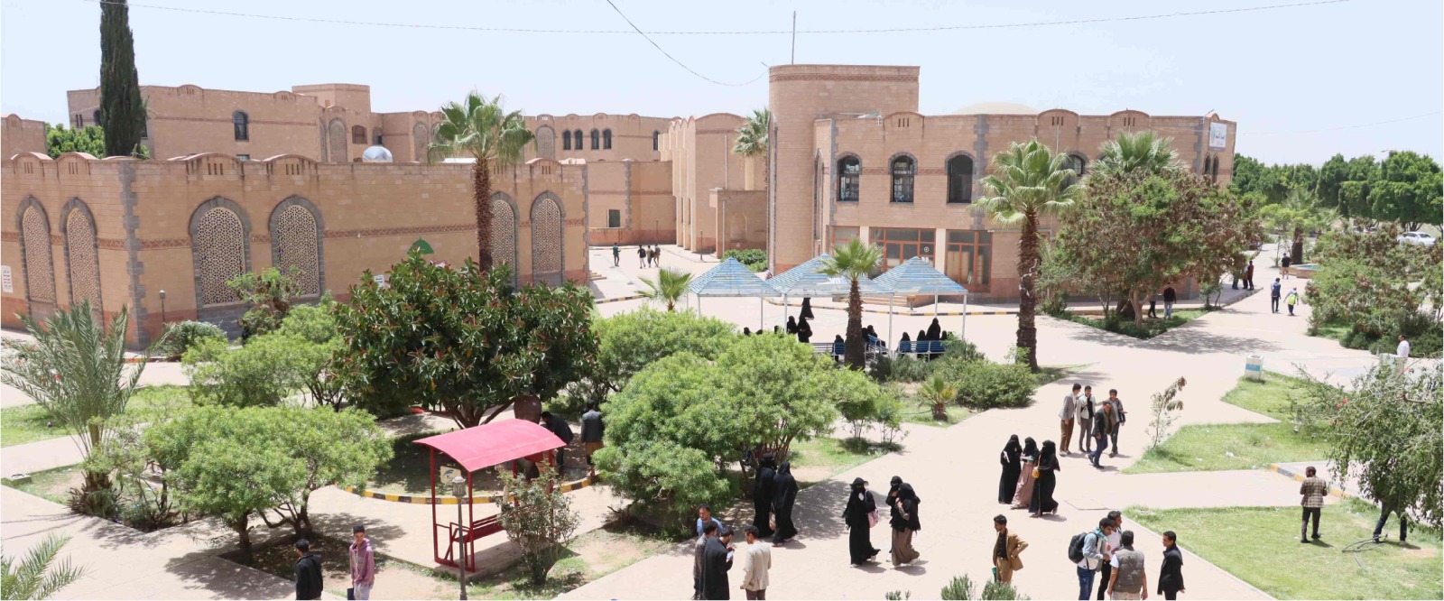 زبيبة ذمار.. 15 عاماً من الفشل الأكاديمي يهرب منها بنقد جامعة صنعاء!