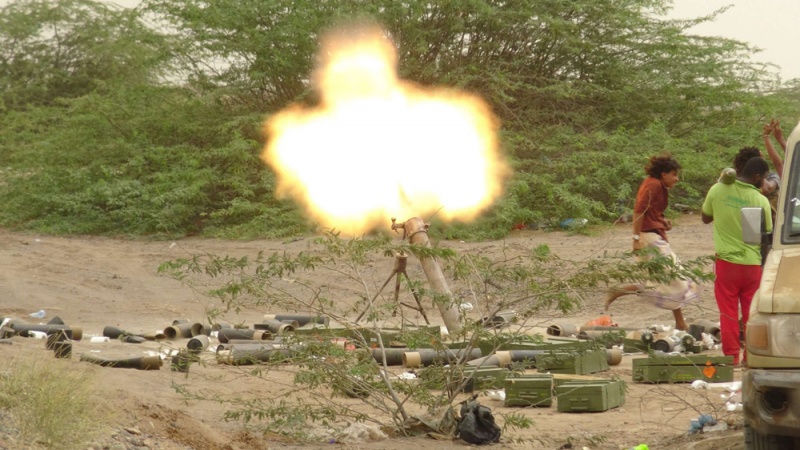 ارشيفية