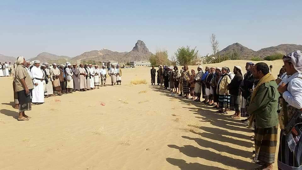 ارشيفية
