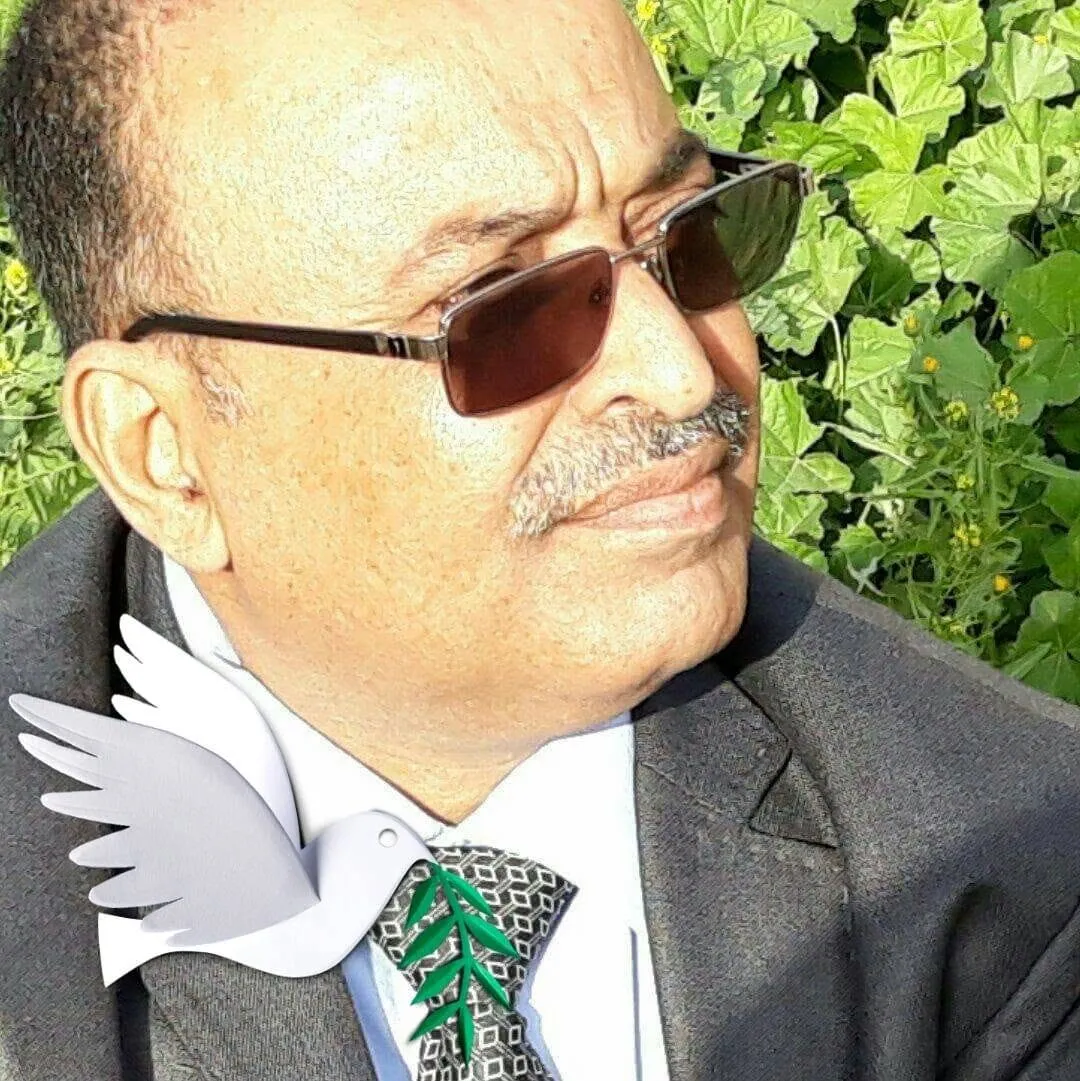 صحفي عسكري ينتقد ما وصفه بتهميش المختصين في إدارة الإعلام الحربي